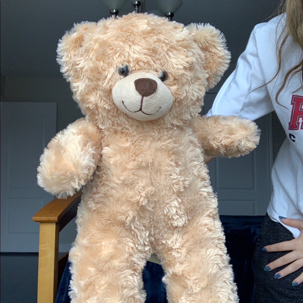 Build a bear brand new great condition teddy
